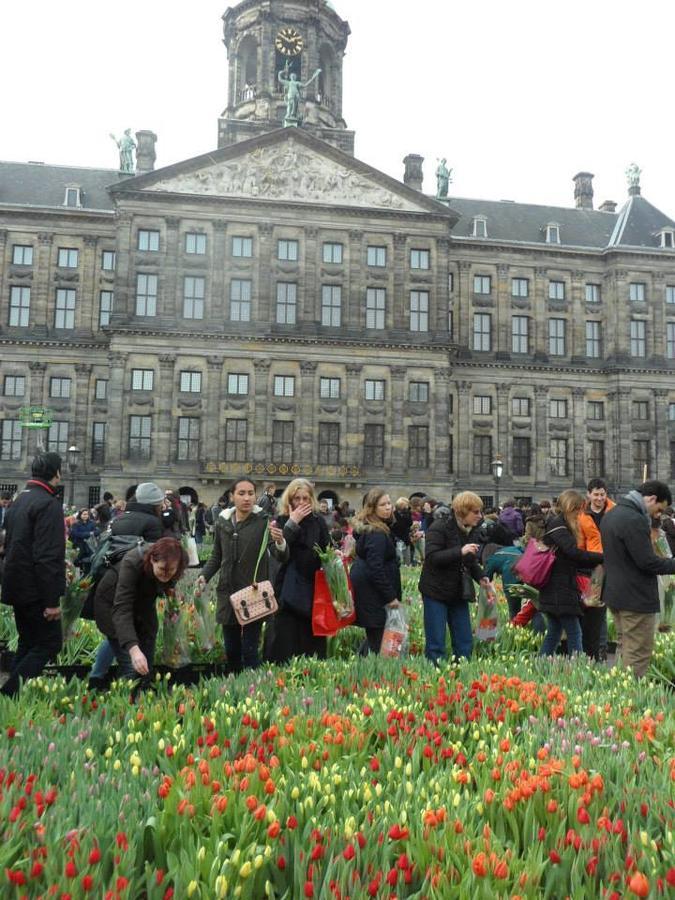 Bed and Breakfast Manikomio Amsterdam Exterior foto